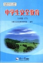 中学生安全教育 九年级 下