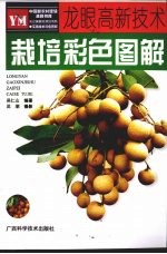 龙眼高新技术栽培彩色图解
