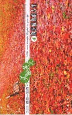 感动一生的美丽英文 4 追求成功的人生