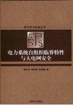 电力系统自组织临界特性与大电网安全