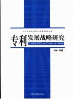 专利发展战略研究