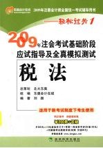 2009年注会考试基础阶段应试指导及全真模拟测试 税法