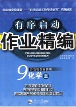 有序启动作业精编 九年级化学 上 沪教版