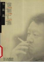 索朗仁称小说选