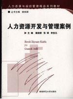 人力资源开发与管理案例