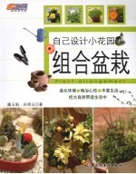 组合盆栽 自己设计小花园