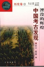 湮没的辉煌:中国考古发现