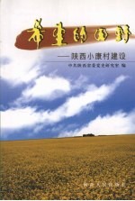 希望的田野:陕西小康村建设