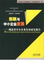 创新与中小企业发展:湖北省中小企业发展研究报告 2005-2006