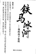 铁马冰河:我的南下征程