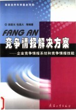 竞争情报解决方案:企业竞争情报系统和竞争情报技能
