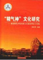 “精气神”文化研究：赣南师范学院校园文化建设理论与实践