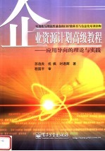 企业资源计划高级教程:应用导向的理论与实践