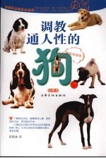 调教通人性的狗 绘图本