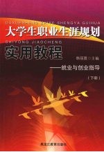大学生职业生涯规划实用教程:就业与创业指导 下