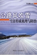 公路风吹雪雪害形成机理与防治