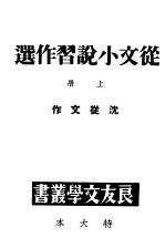 从文小说习作选 上