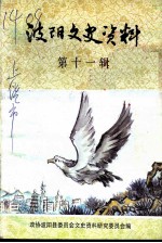 波阳文史资料 第11辑