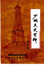 少城文史资料 第6辑