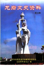 龙岩文史资料 第31辑