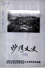 沙湾文史 第9期