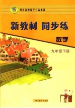 新教材 同步练 数学 九年级 下