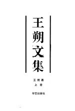 王朔文集 上