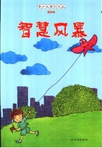 智慧风暴