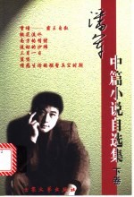 潘军中篇小说自选集 下