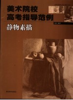 美术院校高考指导范例 静物素描
