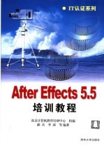 After Effects 5.5培训教程