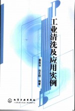 工业清洗及应用实例