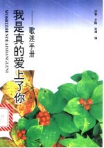 我是真的爱上了你 歌迷手册