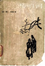 没有桥的河