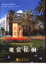 观赏棕榈
