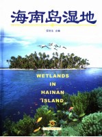 海南岛湿地