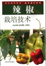 辣椒栽培技术