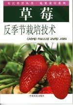 草莓反季节栽培技术