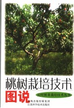 桃树栽培技术图说