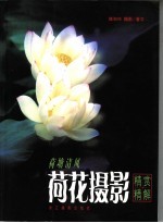 荷塘清风 荷花摄影精赏精解