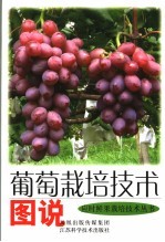 葡萄栽培技术图说