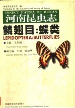 河南昆虫志·鳞翅目:蝶类