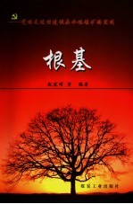 根基 党的先进性建设在水峪煤矿的实践