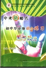 中考新模式初中毕业班综合练习 思想政治