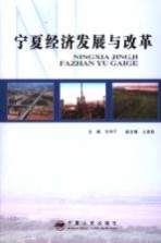 宁夏经济发展与改革