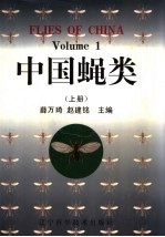 中国蝇类 上