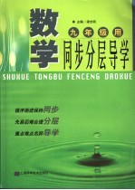 数学同步分层导学 九年级用 修订版