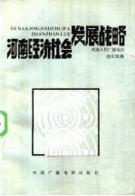 河南经济社会发展战略