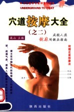 穴道按摩大全 2