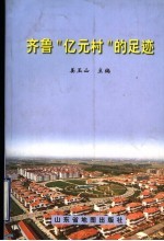 齐鲁“亿元村”的足迹